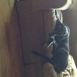 Meet your Posher, Vicki